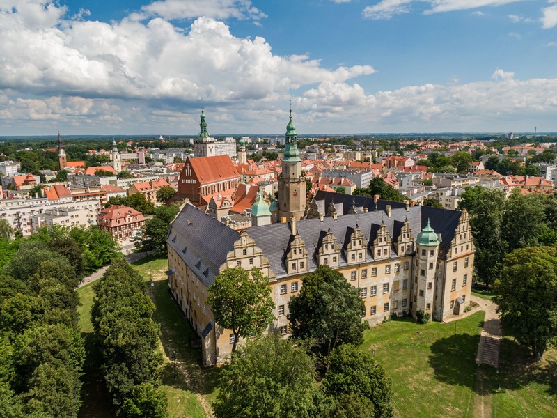 Zamek Książąt Oleśnickich panorama
